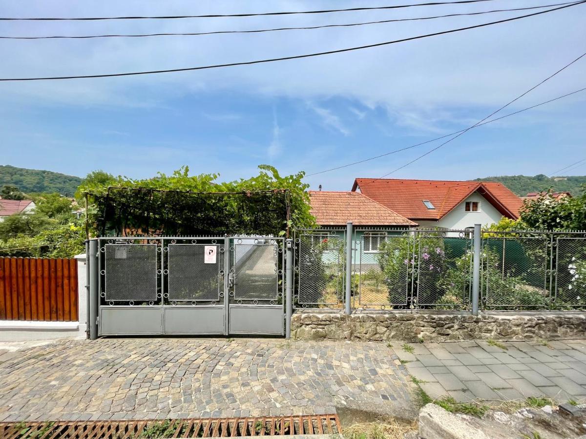 Anton Pann House - Entire House Below The Citadel Σιγκισοάρα Εξωτερικό φωτογραφία