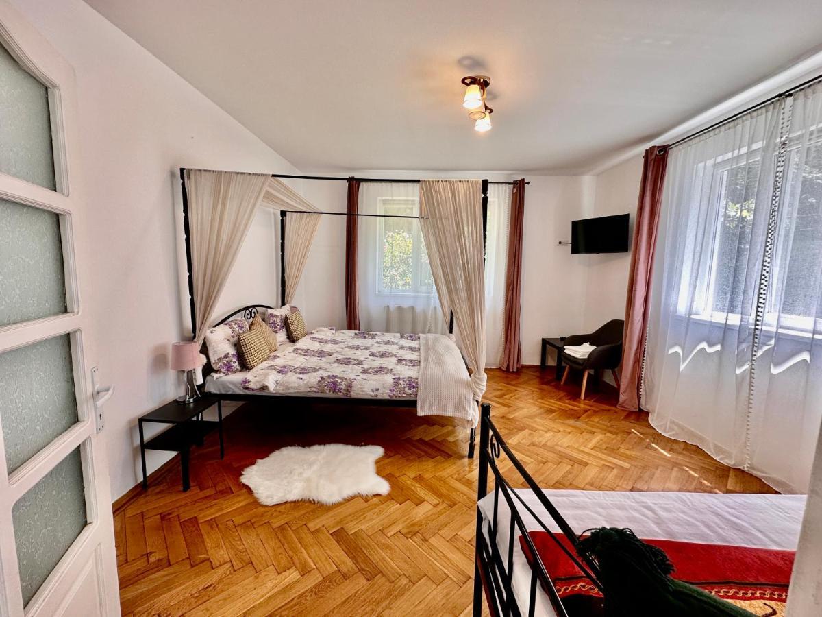 Anton Pann House - Entire House Below The Citadel Σιγκισοάρα Εξωτερικό φωτογραφία